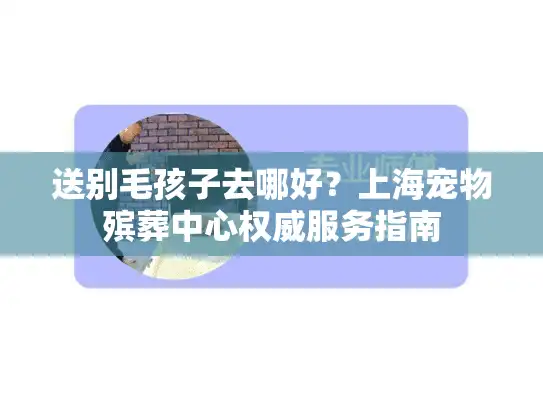 送别毛孩子去哪好？上海宠物殡葬中心权威服务指南