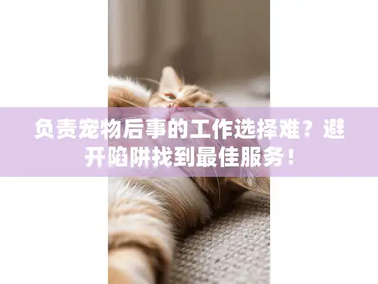 负责宠物后事的工作选择难？避开陷阱找到最佳服务！