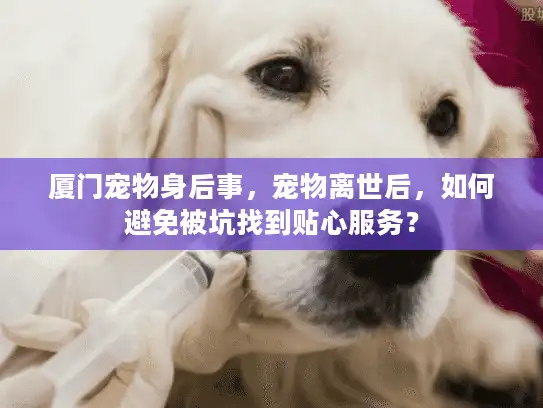 厦门宠物身后事，宠物离世后，如何避免被坑找到贴心服务？
