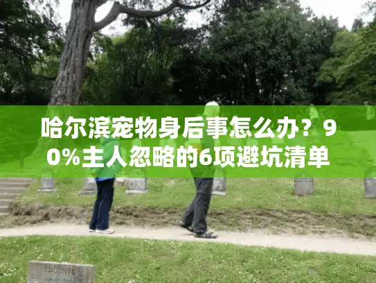 哈尔滨宠物身后事怎么办？90%主人忽略的6项避坑清单