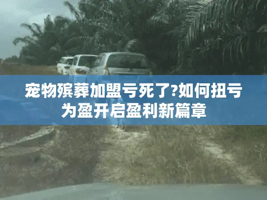 宠物殡葬加盟亏死了?如何扭亏为盈开启盈利新篇章