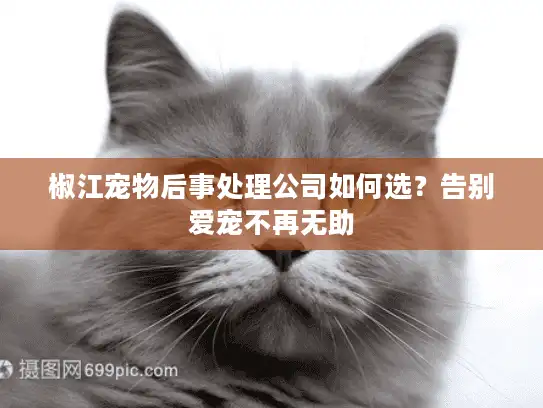 椒江宠物后事处理公司如何选？告别爱宠不再无助
