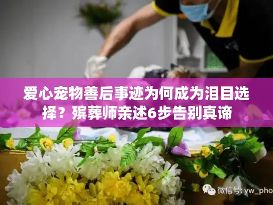 爱心宠物善后事迹为何成为泪目选择？殡葬师亲述6步告别真谛