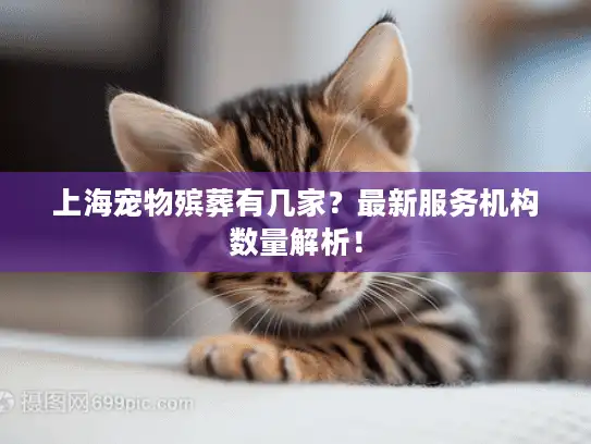 上海宠物殡葬有几家？最新服务机构数量解析！