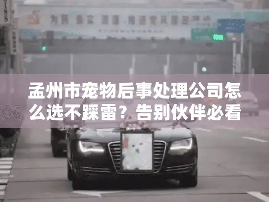 孟州市宠物后事处理公司怎么选不踩雷？告别伙伴必看避坑攻略
