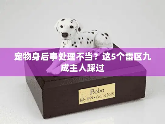 宠物身后事处理不当？这5个雷区九成主人踩过