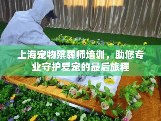 上海宠物殡葬师培训，助您专业守护爱宠的最后旅程