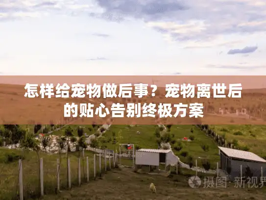 怎样给宠物做后事？宠物离世后的贴心告别终极方案
