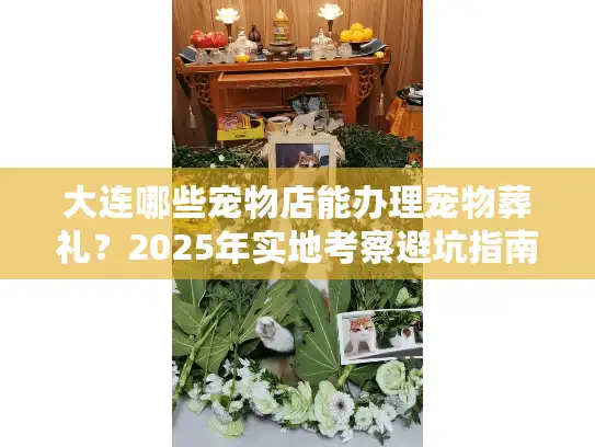 大连哪些宠物店能办理宠物葬礼？2025年实地考察避坑指南