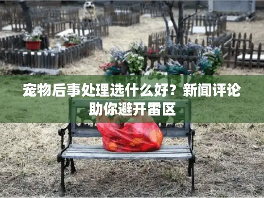 宠物后事处理选什么好？新闻评论助你避开雷区