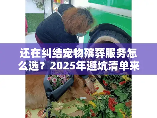 还在纠结宠物殡葬服务怎么选？2025年避坑清单来了