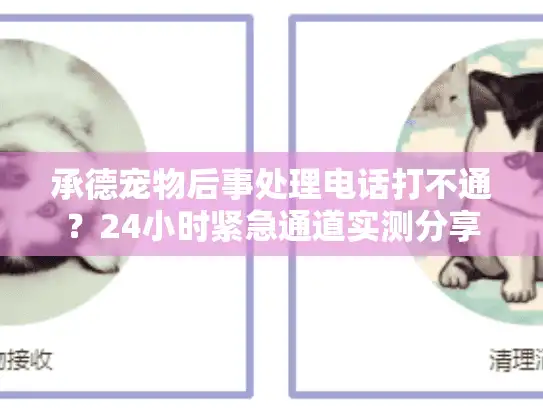 承德宠物后事处理电话打不通？24小时紧急通道实测分享