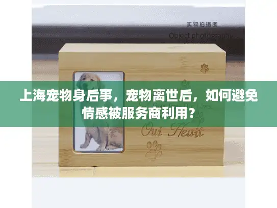 上海宠物身后事，宠物离世后，如何避免情感被服务商利用？