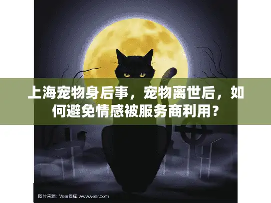 上海宠物身后事，宠物离世后，如何避免情感被服务商利用？