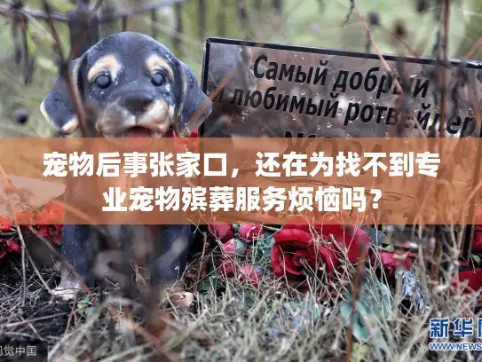 宠物后事张家口，还在为找不到专业宠物殡葬服务烦恼吗？