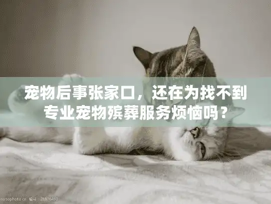 宠物后事张家口，还在为找不到专业宠物殡葬服务烦恼吗？