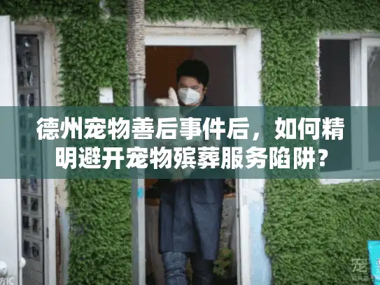 德州宠物善后事件后，如何精明避开宠物殡葬服务陷阱？