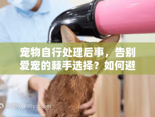 宠物自行处理后事，告别爱宠的棘手选择？如何避免情感伤害与法律风险
