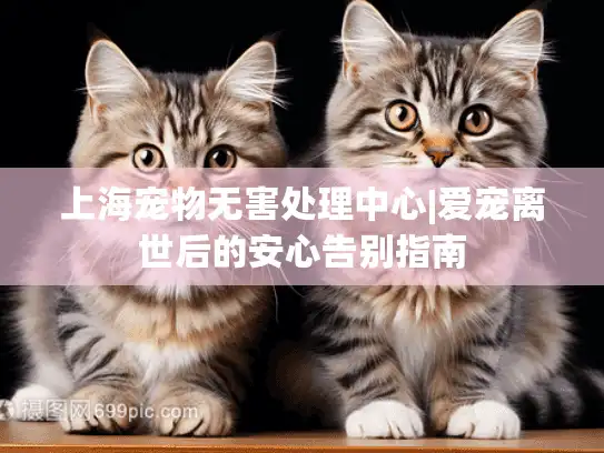 上海宠物无害处理中心|爱宠离世后的安心告别指南