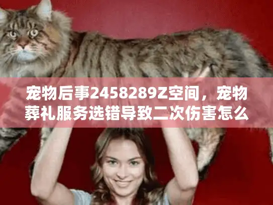 宠物后事2458289Z空间，宠物葬礼服务选错导致二次伤害怎么办？