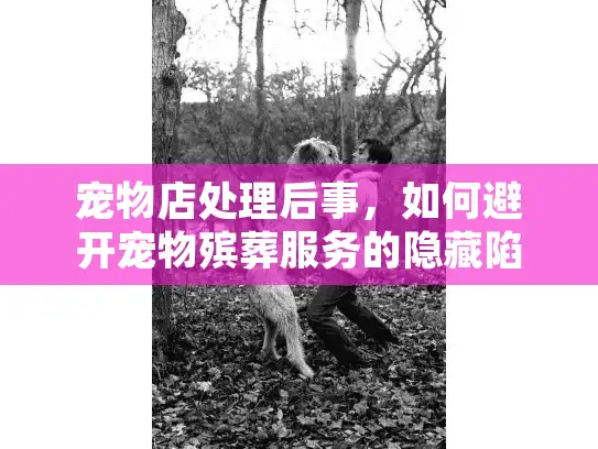 宠物店处理后事，如何避开宠物殡葬服务的隐藏陷阱？