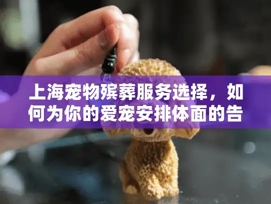 上海宠物殡葬服务选择，如何为你的爱宠安排体面的告别