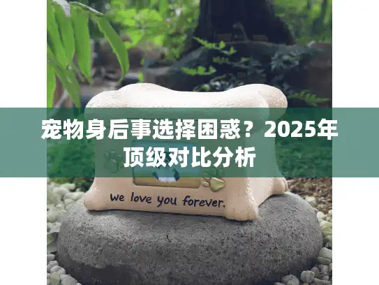 宠物身后事选择困惑？2025年顶级对比分析