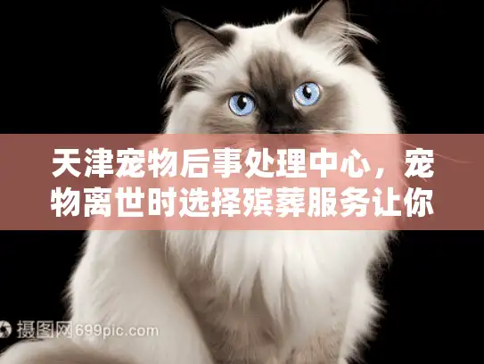 天津宠物后事处理中心，宠物离世时选择殡葬服务让你夜不能寐？