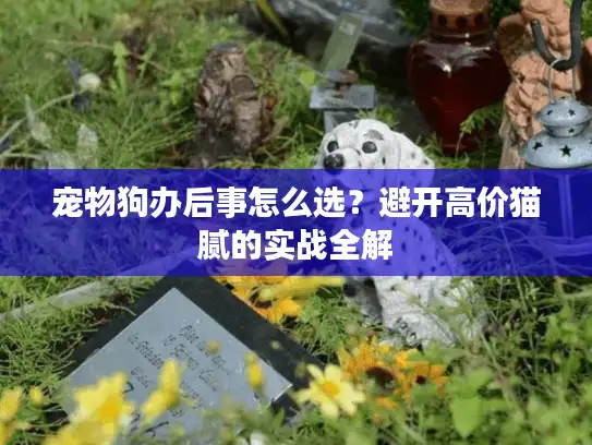 宠物狗办后事怎么选？避开高价猫腻的实战全解