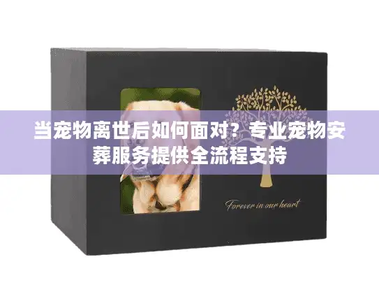 当宠物离世后如何面对？专业宠物安葬服务提供全流程支持