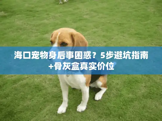 海口宠物身后事困惑？5步避坑指南+骨灰盒真实价位