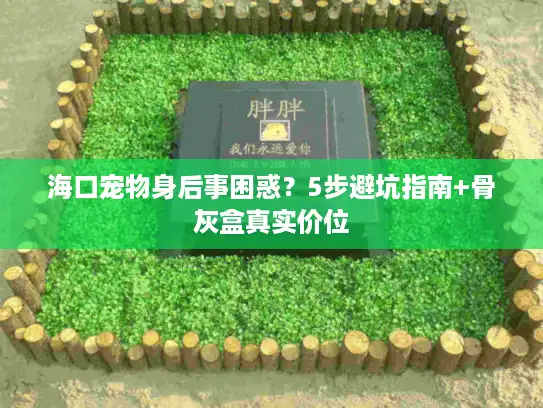 海口宠物身后事困惑？5步避坑指南+骨灰盒真实价位