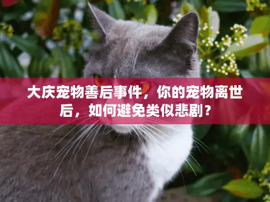 大庆宠物善后事件，你的宠物离世后，如何避免类似悲剧？