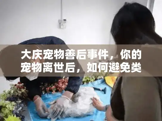 大庆宠物善后事件，你的宠物离世后，如何避免类似悲剧？