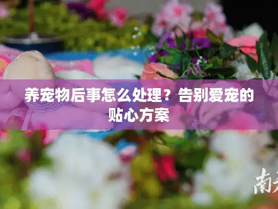 养宠物后事怎么处理？告别爱宠的贴心方案