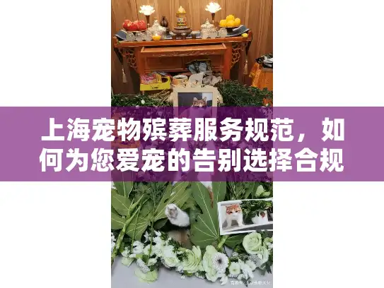 上海宠物殡葬服务规范，如何为您爱宠的告别选择合规服务？