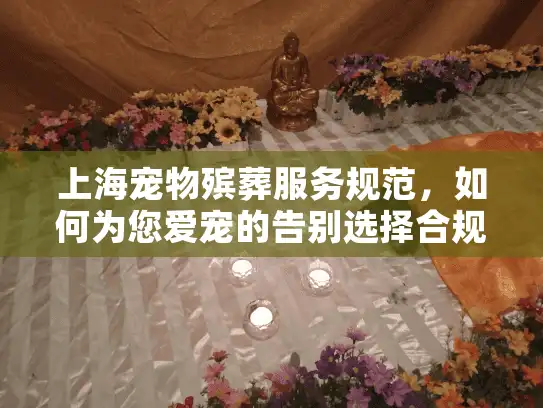 上海宠物殡葬服务规范，如何为您爱宠的告别选择合规服务？