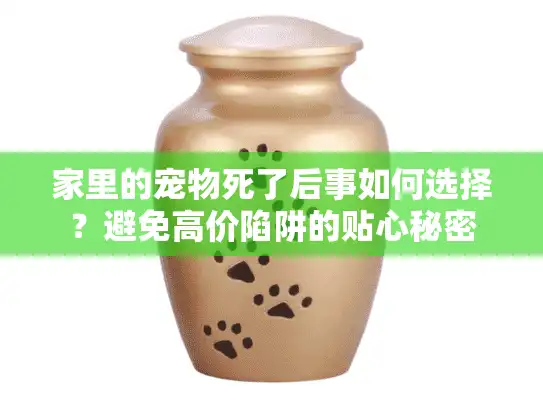 家里的宠物死了后事如何选择？避免高价陷阱的贴心秘密