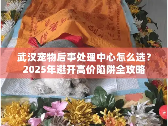 武汉宠物后事处理中心怎么选？2025年避开高价陷阱全攻略