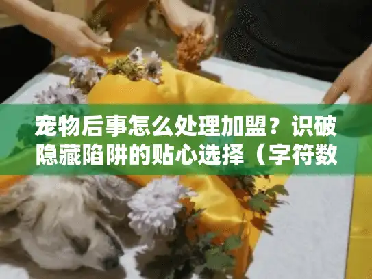 宠物后事怎么处理加盟？识破隐藏陷阱的贴心选择（字符数，24）