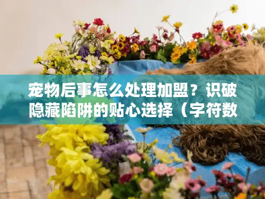宠物后事怎么处理加盟？识破隐藏陷阱的贴心选择（字符数，24）