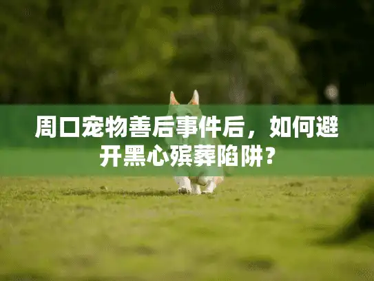 周口宠物善后事件后，如何避开黑心殡葬陷阱？