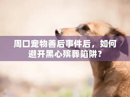 周口宠物善后事件后，如何避开黑心殡葬陷阱？
