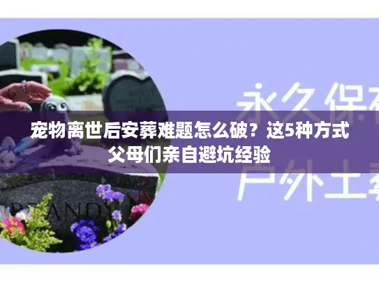 宠物离世后安葬难题怎么破？这5种方式父母们亲自避坑经验