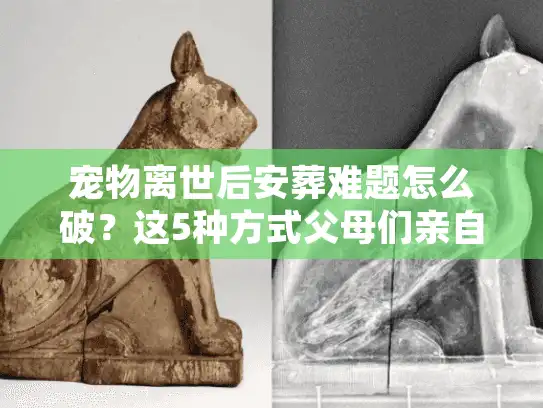 宠物离世后安葬难题怎么破？这5种方式父母们亲自避坑经验