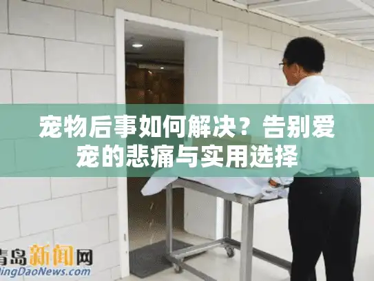 宠物后事如何解决？告别爱宠的悲痛与实用选择