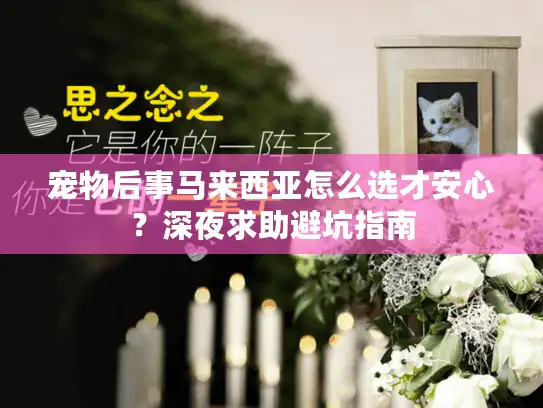 宠物后事马来西亚怎么选才安心？深夜求助避坑指南
