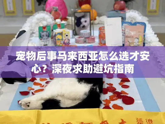 宠物后事马来西亚怎么选才安心？深夜求助避坑指南