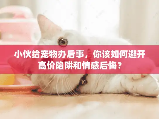 小伙给宠物办后事，你该如何避开高价陷阱和情感后悔？