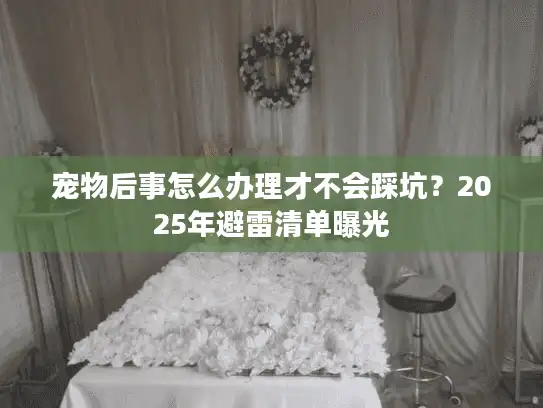 宠物后事怎么办理才不会踩坑？2025年避雷清单曝光